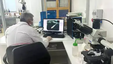 Anadolu Yağ Balığı Nesli Kurtarılsın!