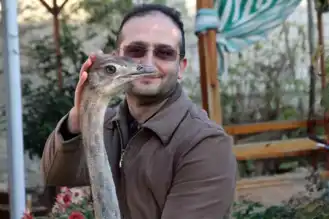 Eşsiz Takas Teklifi: Devekuşu Satılık!