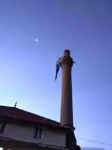 Şiddetli Rüzgar, Köyde Paniğe Yol Açtı