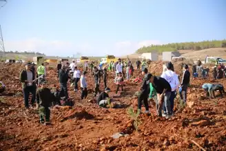 Milli Ağaçlandırma Günü'nde Binlerce Fidan Dikildi