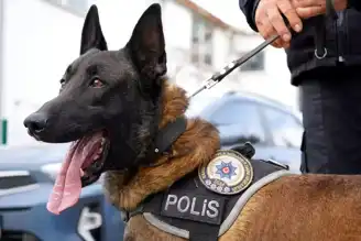 Isparta'nın Narkotik Köpeği Milon, Ayın Köpeği Ödülünü Kazandı!