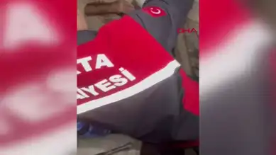 Tuvalette Sıkışan Yavru Kedi Kurtarıldı