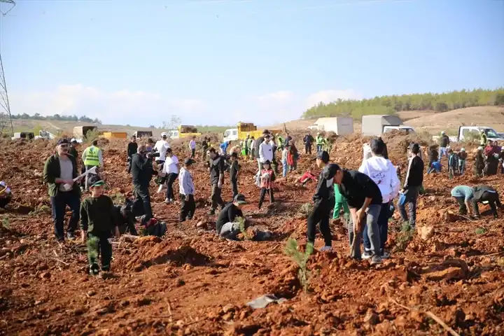 Milli Ağaçlandırma Günü'nde Binlerce Fidan Dikildi