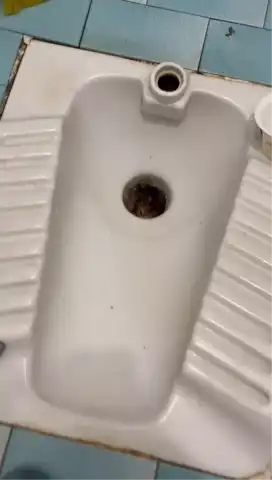 Tuvalet Borusunda Sıkışan Yavru Kedi Kurtarıldı