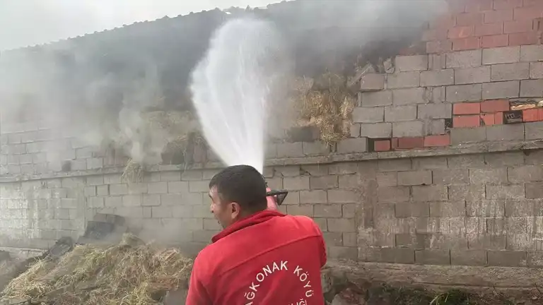 Besihanede Yangın: 12 Hayvan Öldü